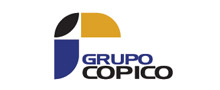 Grupo COPICO